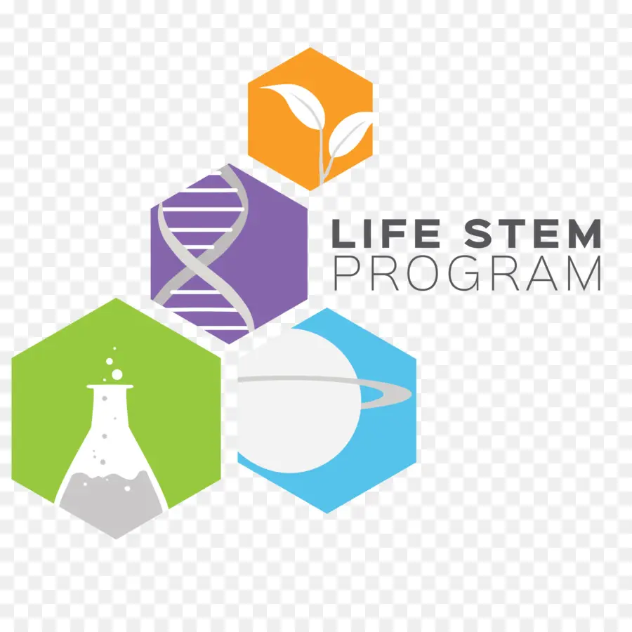 โปรแกรม Stem，ศาสตร์ PNG