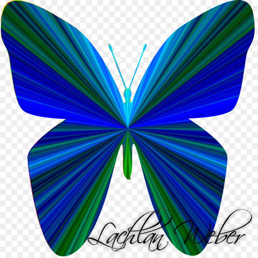 ผีเสื้อ，Papilio Blumei PNG