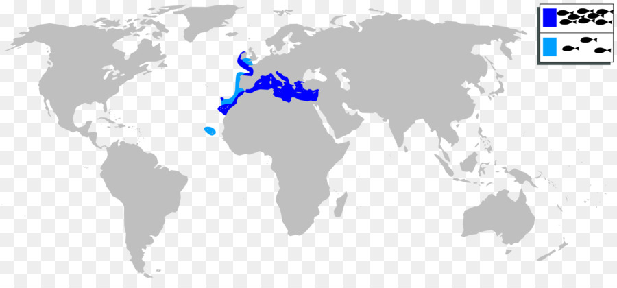 รถ，เหลือและ Righthand การจราจร PNG