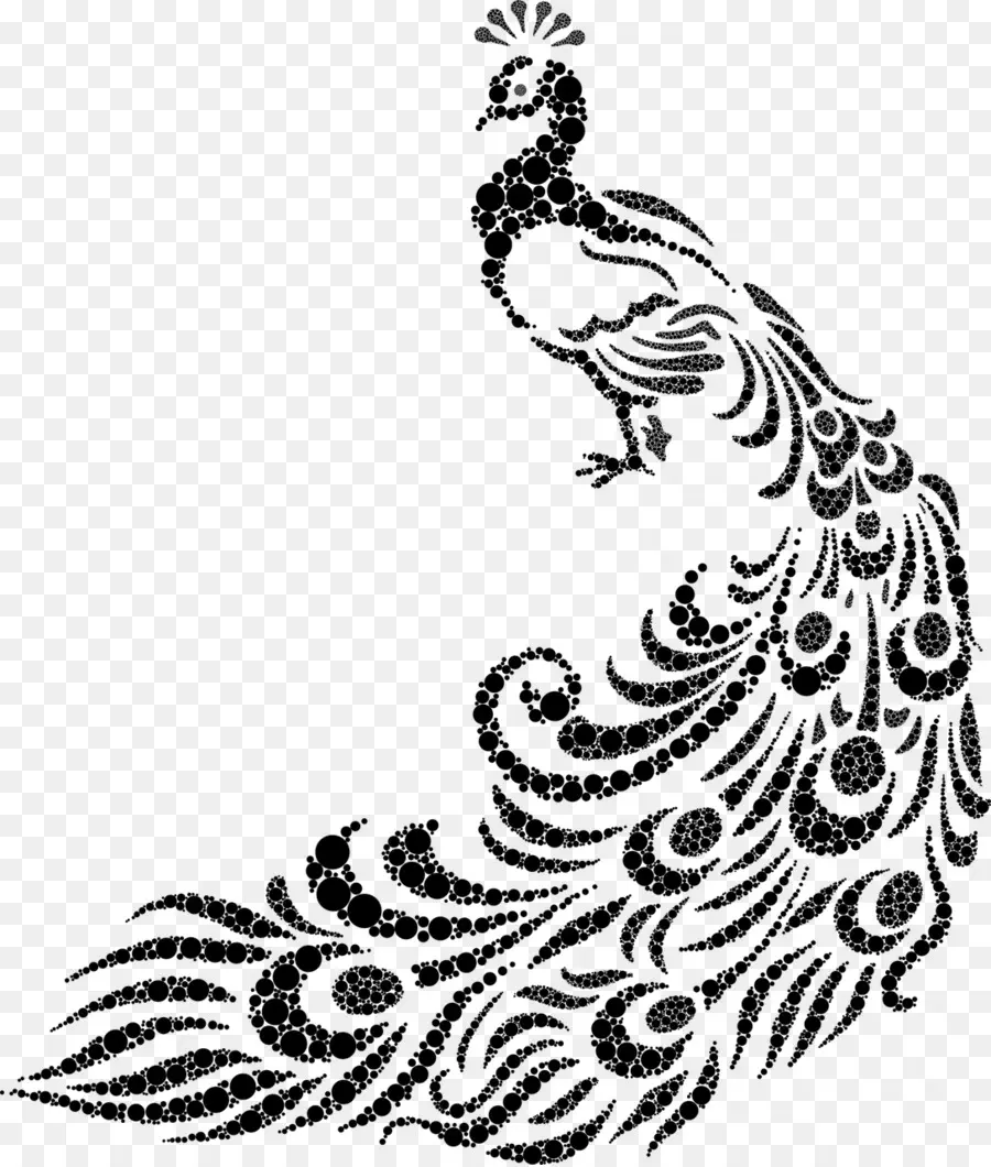 Peafowl，วาด PNG