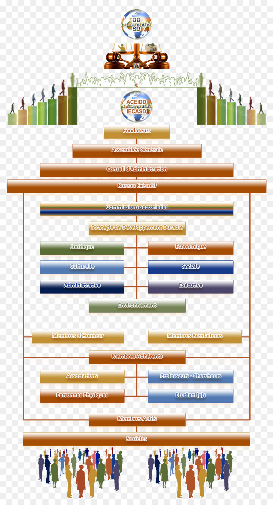 Organizational ชาร์ท，สมัครใจกับความสัมพันธ์ PNG