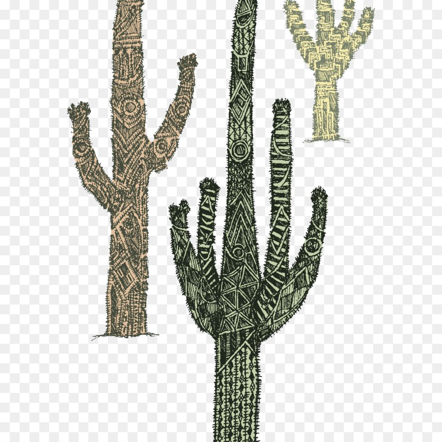 Cactaceae，เด็กคน PNG