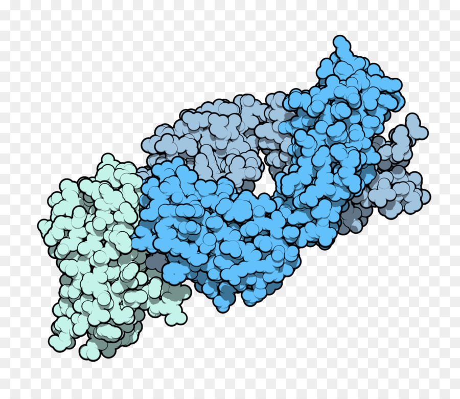 โครงสร้างโปรตีน，โมเลกุล PNG