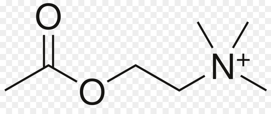 Methyl กลุ่ม，Ethyl กลุ่ม PNG