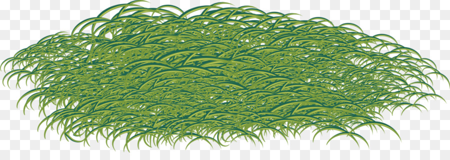 สนามหญ้า，Ryegrass PNG