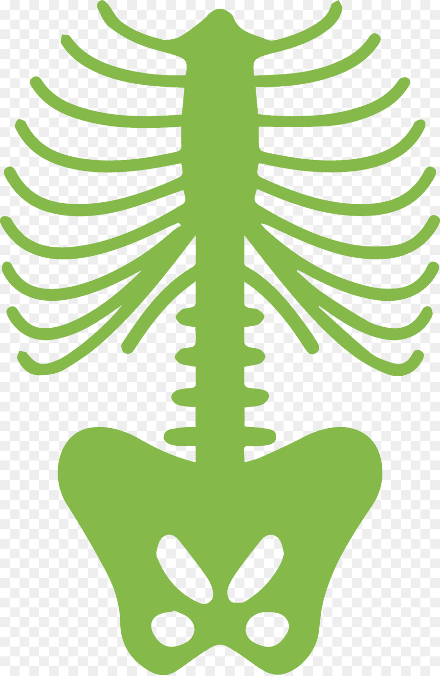 โครงกระดูกสีเขียว，โครงกระดูก PNG