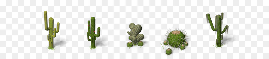 Cactaceae，Saguaro PNG