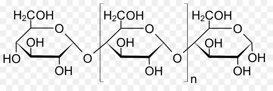 เซลลูโลส，โมเลกุล PNG