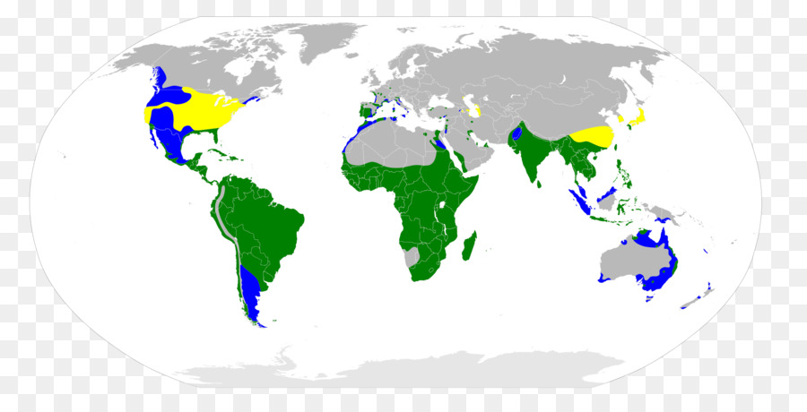 แผนที่โลก，ประเทศ PNG