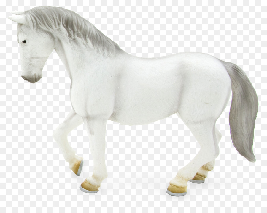 Lipizzan，ม้าอันดาลูเซีย PNG