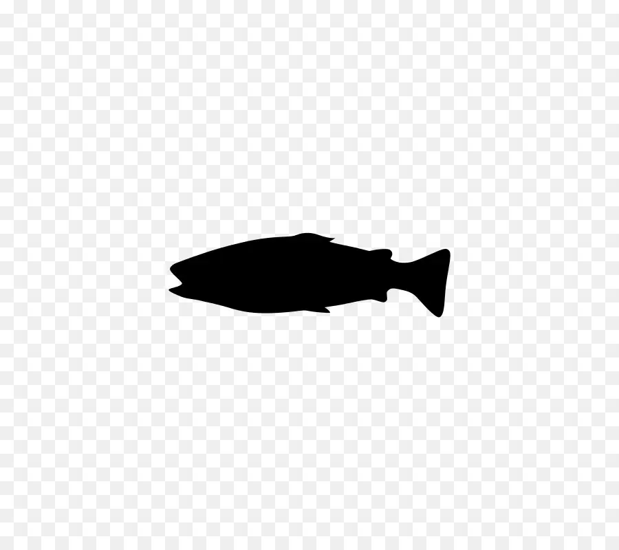 ปลา，เงา PNG