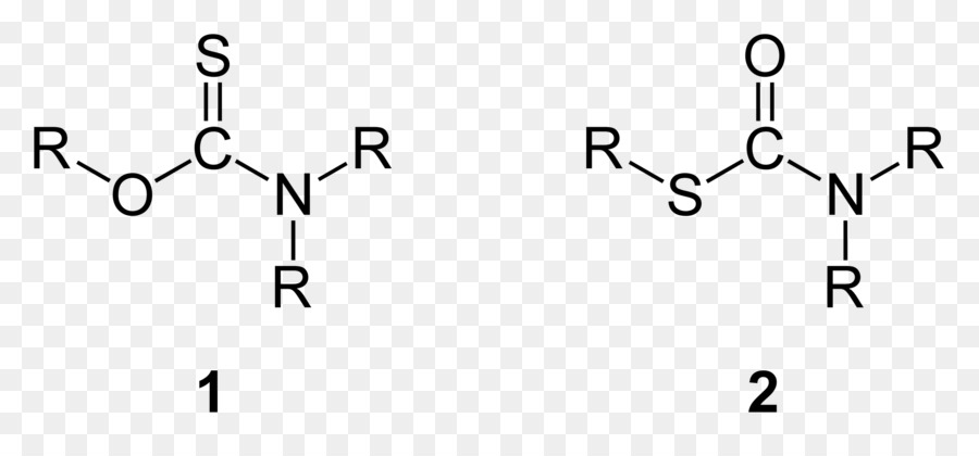 Peptide บอนด์，Thiocarbamate PNG