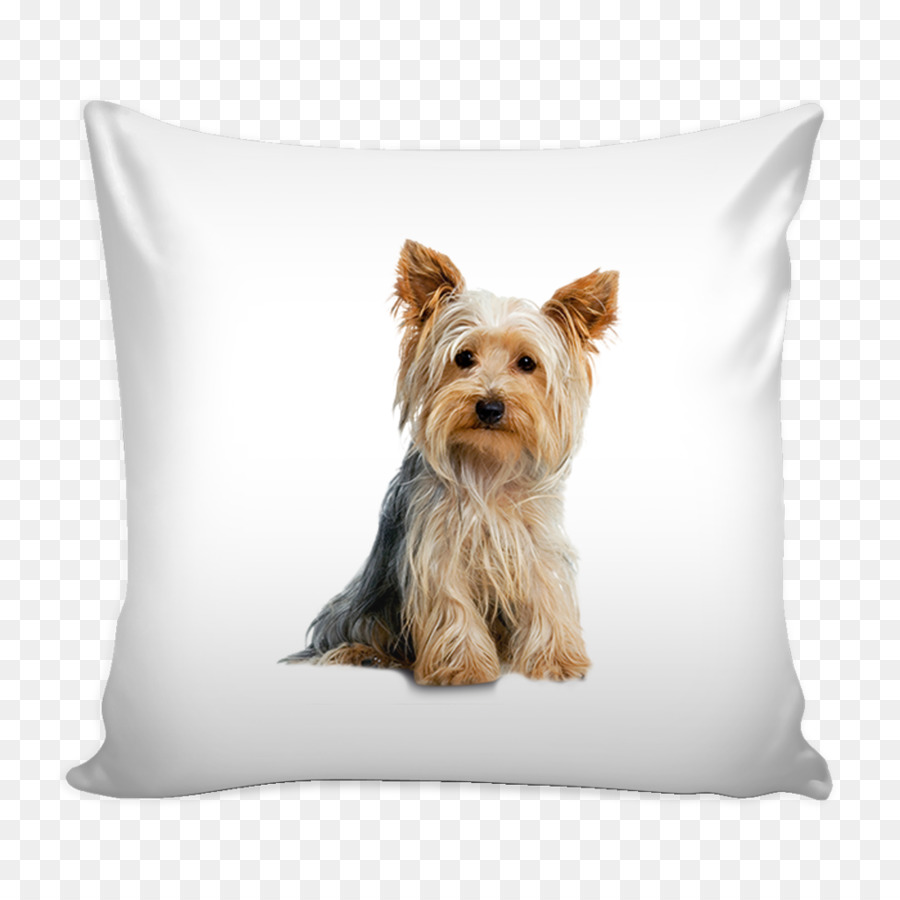 Great Britain_ Counties Kgm Terrier，ออสเตรเลีย Silky Terrier PNG