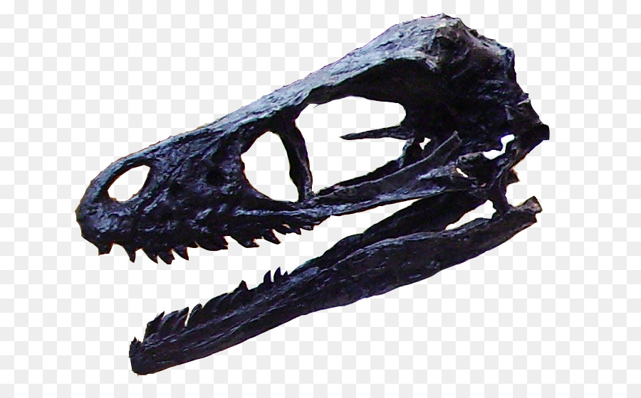 Bambiraptor，สาย Cretaceous PNG