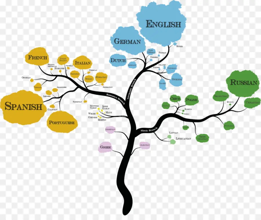 ต้นไม้ภาษา，ภาษา PNG