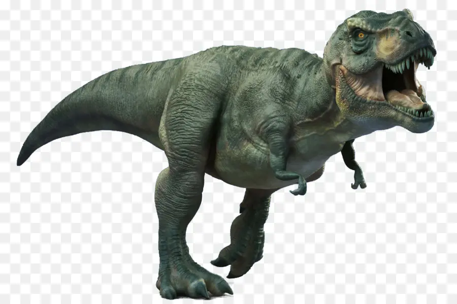 T Rex，ฟัน PNG