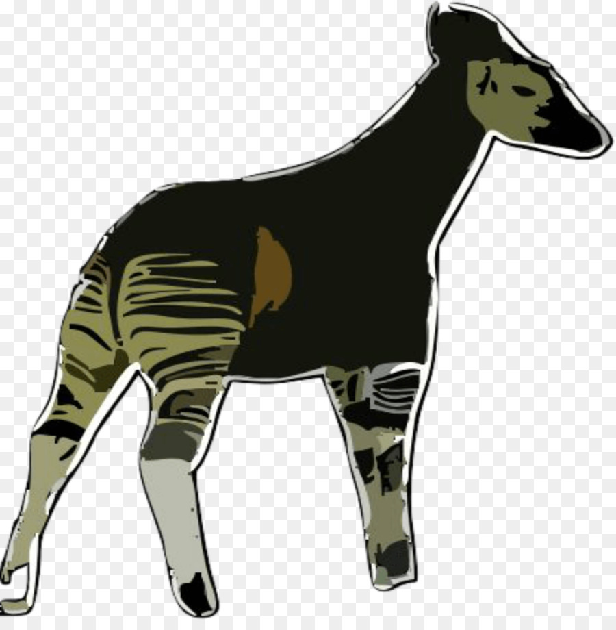 Okapi，สัตว์เลี้ยงลูกด้วยนม PNG