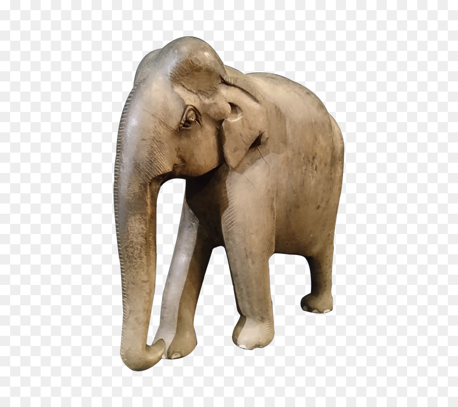 แอฟริกันช้าง，ทิเบ PNG