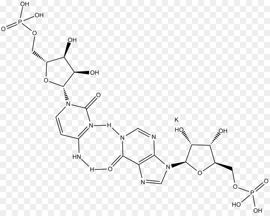 Polyinosinicpolycytidylic กรด，Tolllike PNG