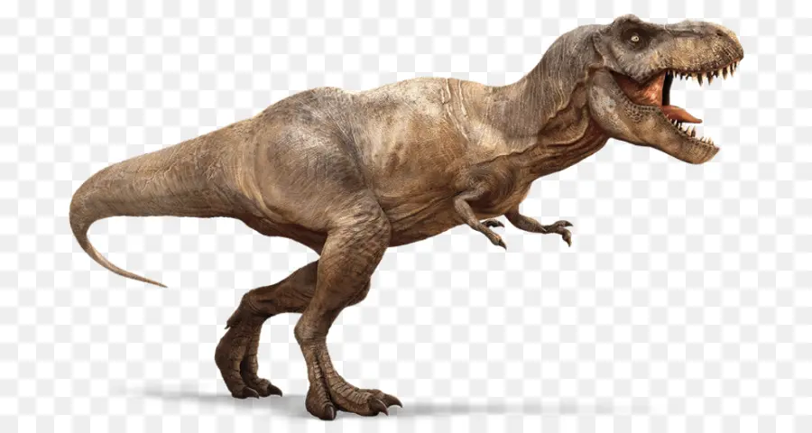 Tyrannosaurus Rex，ก่อนประวัติศาสตร์ PNG