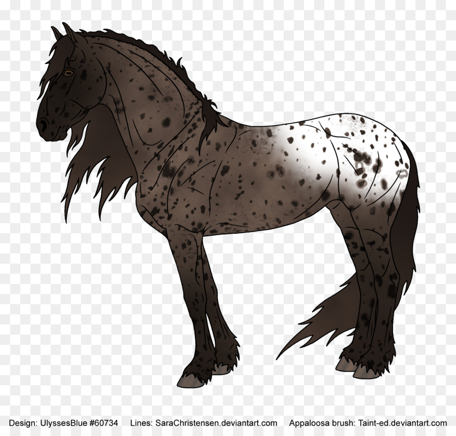 Friesian ม้า，รถมัสแตง PNG