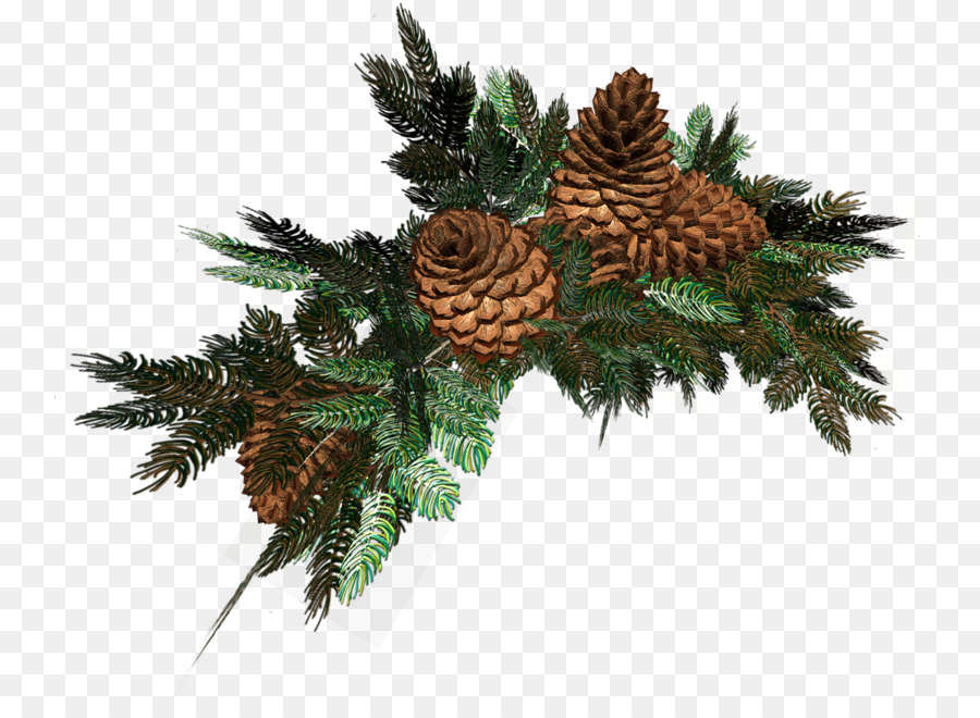 กิ่งไม้，Pinecones PNG