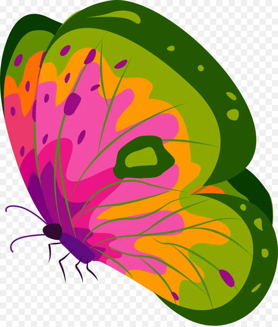 ขนาด Monarch ผีเสื้อ，Nymphalidae PNG