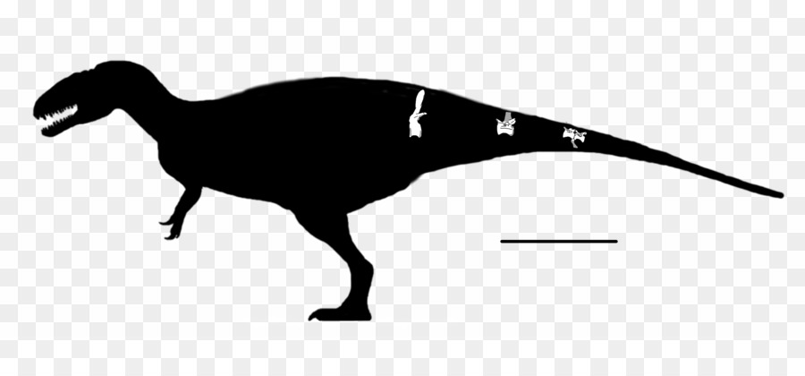 Veterupristisaurus，Eocarcharia PNG