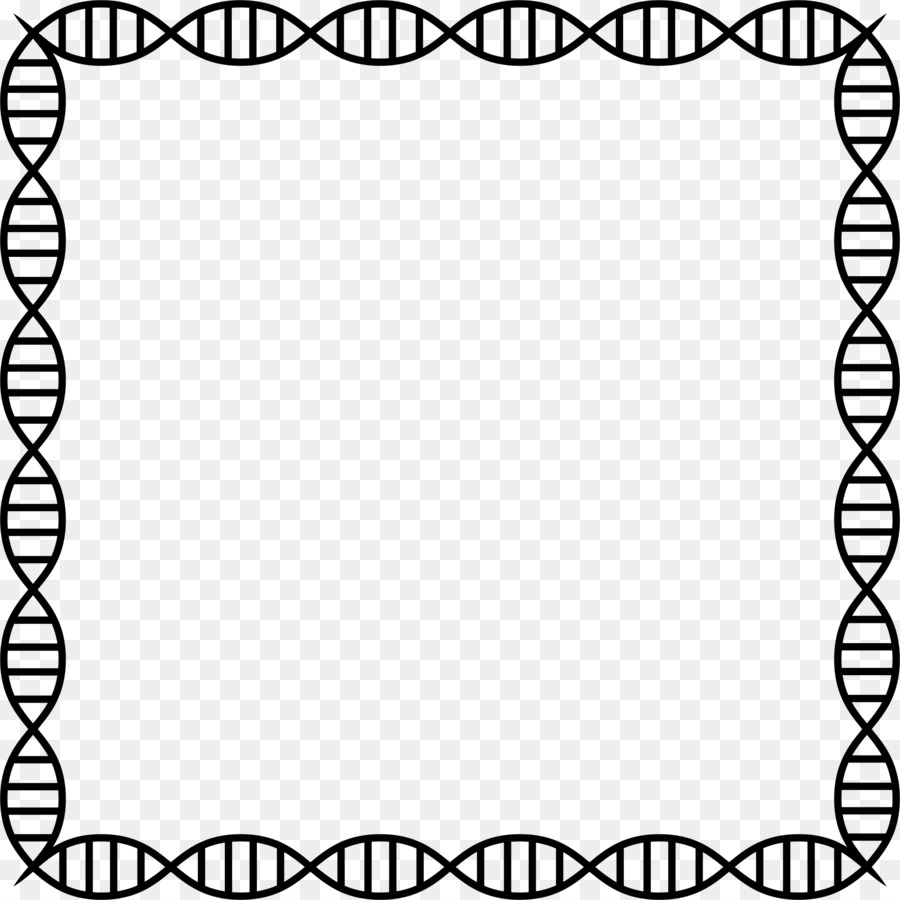Nucleic กรดดับเบิ้ลเฮลิกซ์ Name，ดีเอ็นเอ PNG
