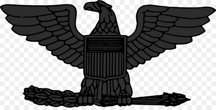 Eagle Emblem，นก PNG