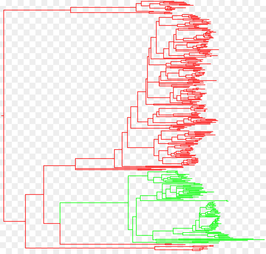 ฮิปโป，Cetartiodactyla PNG