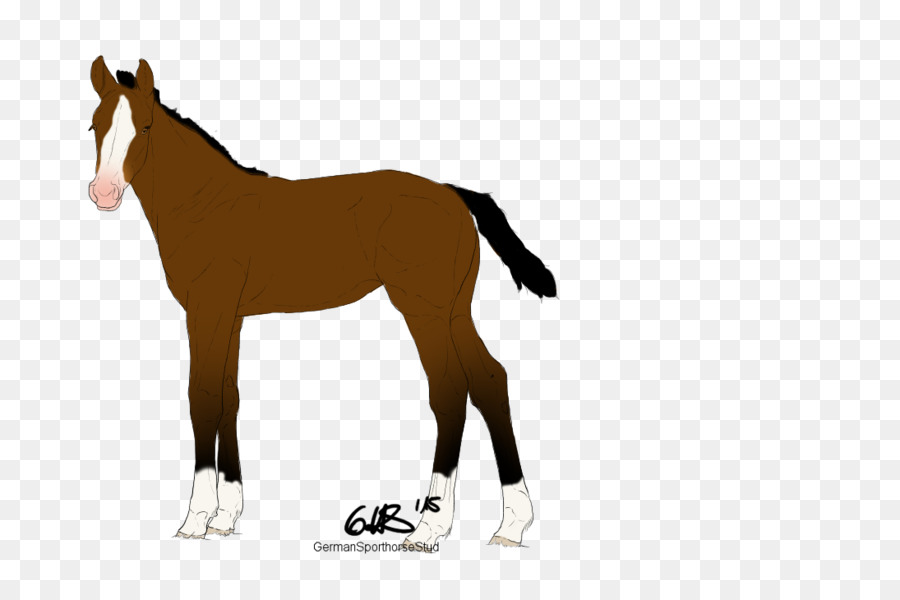 รถมัสแตง，Foal PNG