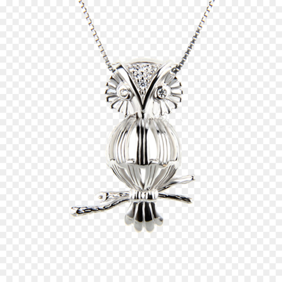 เสน่ห์ Pendants，ล็อคเก็ตรูป PNG