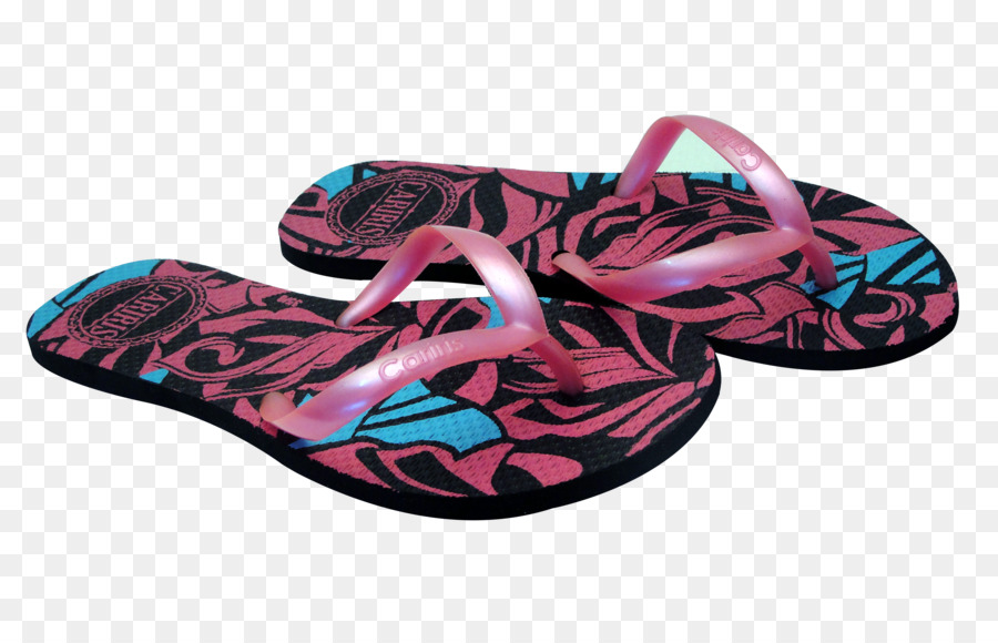 Flipflops，รองเท้า PNG