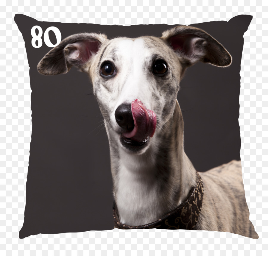 Whippet，นัข PNG