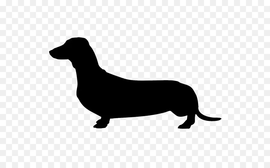 ภาพเงาดัชชุนด์สีดำ，Dachshund PNG