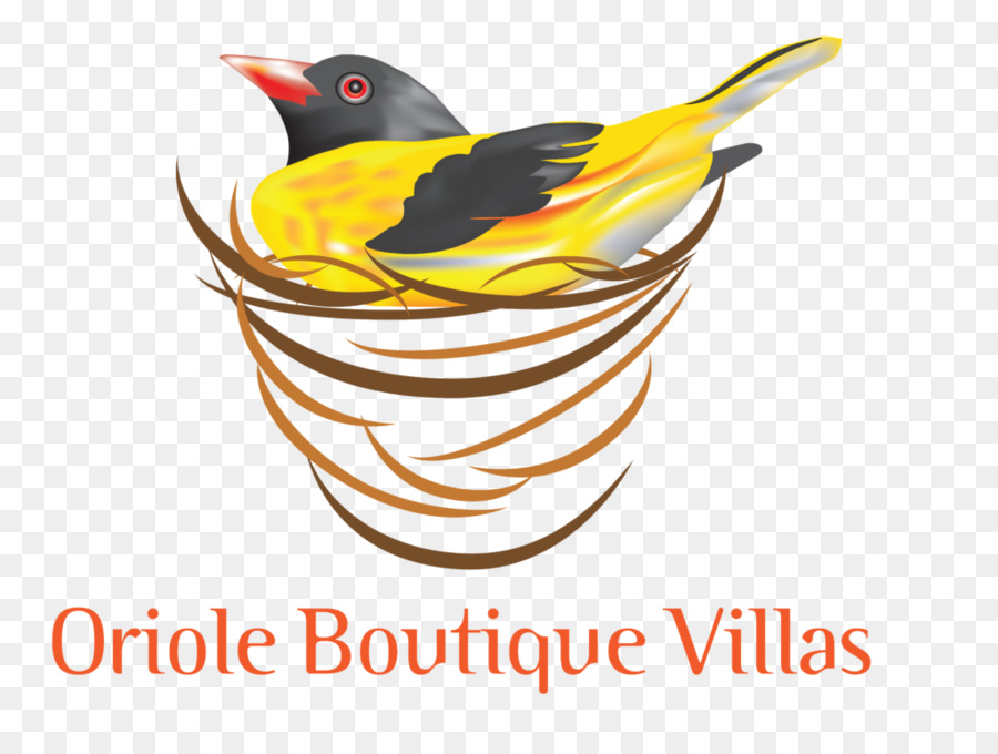 เบน，Oriole งร้านเสื้อผ้าเปิดอาจมีคฤหาสน์ PNG