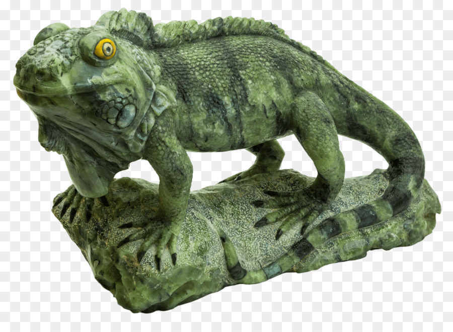 เหมือนกัน Iguanas，Terrestrial สัตว์ PNG