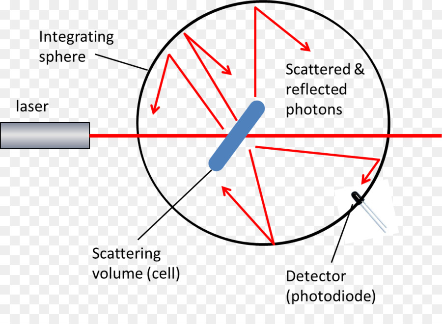 แบคทีเรีย，ระหว่างประเทศบันทึกประจำวันของ Systematic และวิวัฒนาการ Microbiology PNG