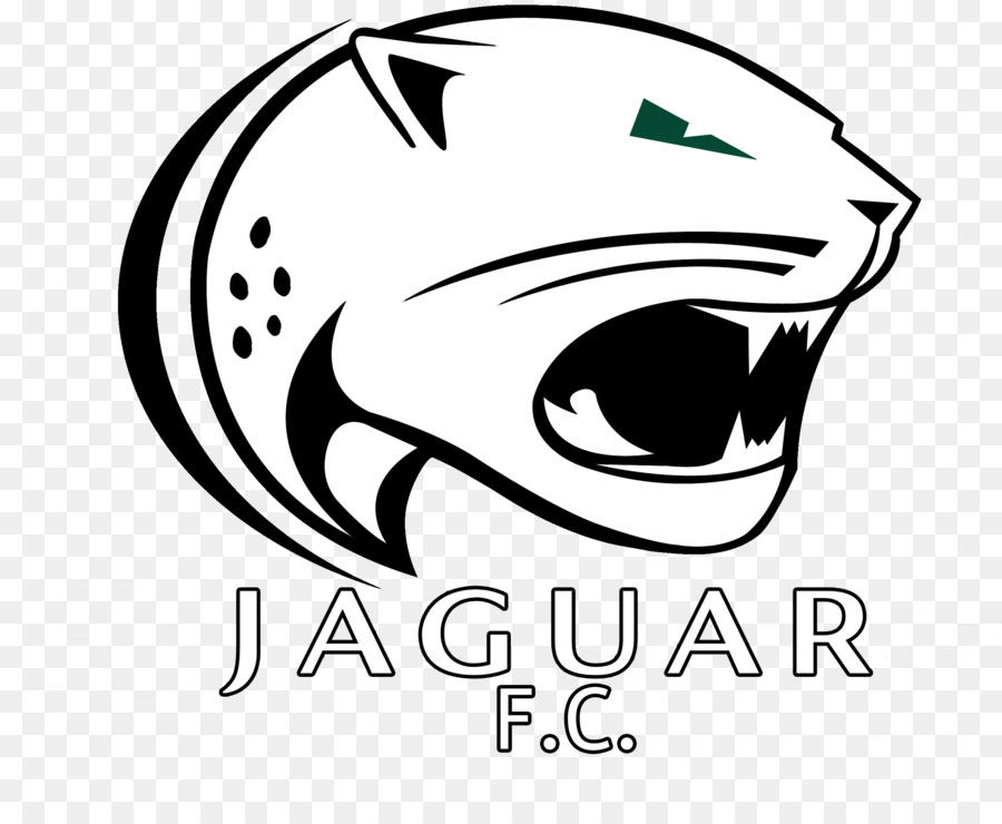 มหาวิทยาลัยของทางใต้อลาบาม่าหรอก，ทางใต้อลาบาม่าหรอก Jaguars ฟุตบอล PNG