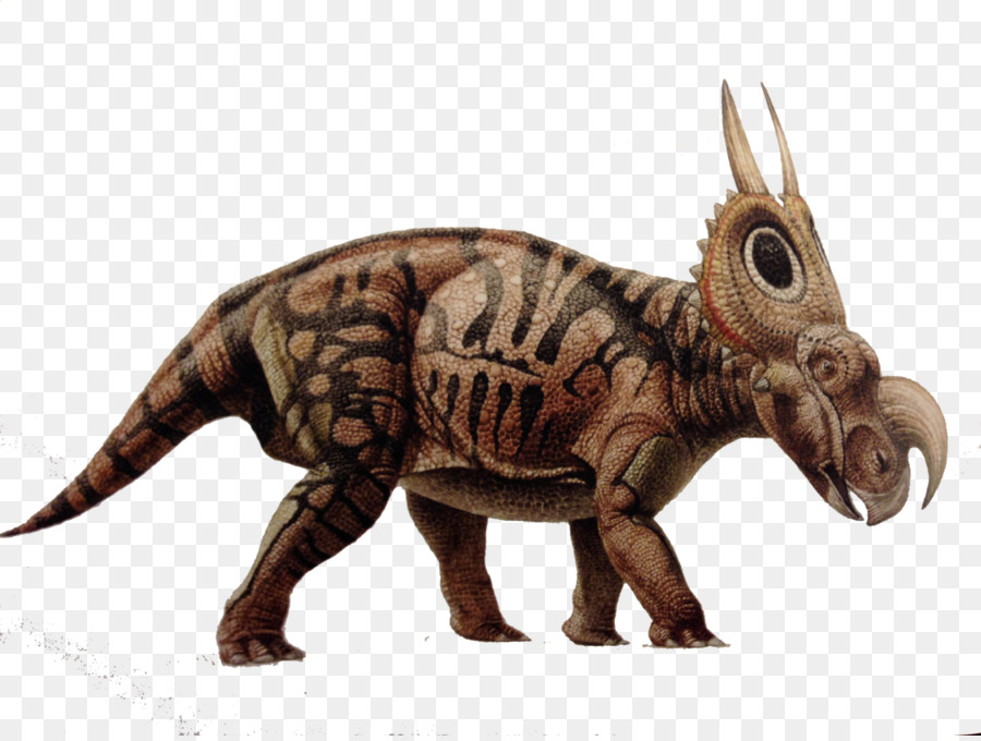 Triceratops，ก่อนประวัติศาสตร์ PNG