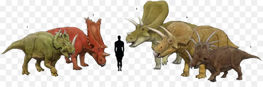 ไดโนเสาร์，Triceratops PNG