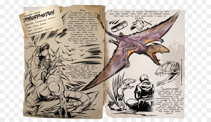 Dimorphodon，การบิน PNG