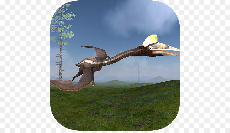 Pterosaur Flight Simulator 3d，เกมยิงขวด PNG