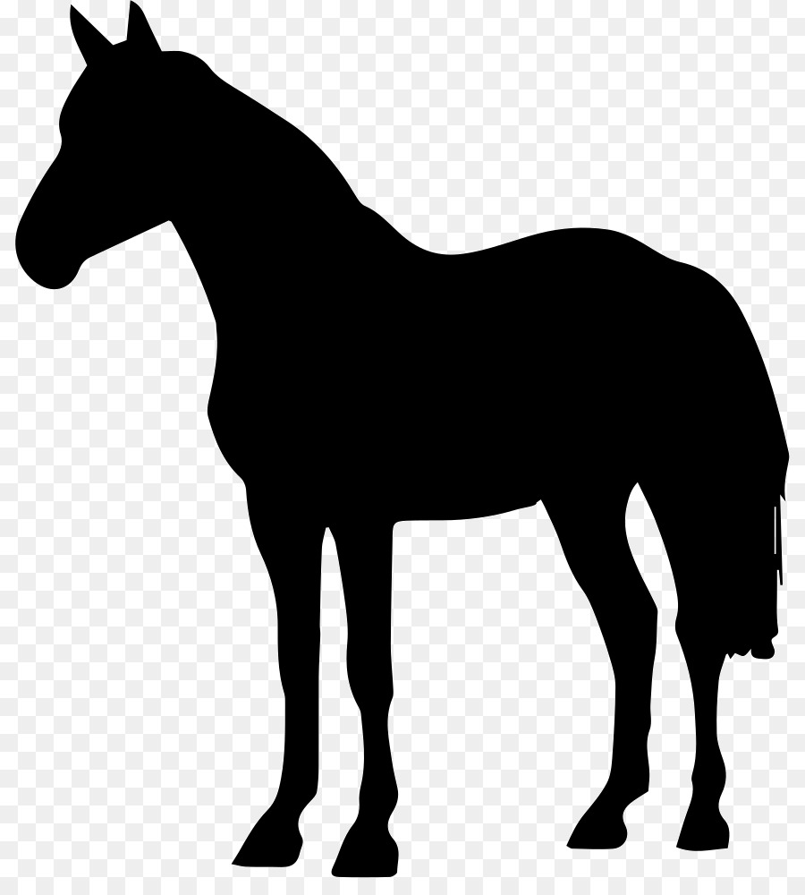 ม้าอาหรับม้า，ดำบนม้าป่า PNG