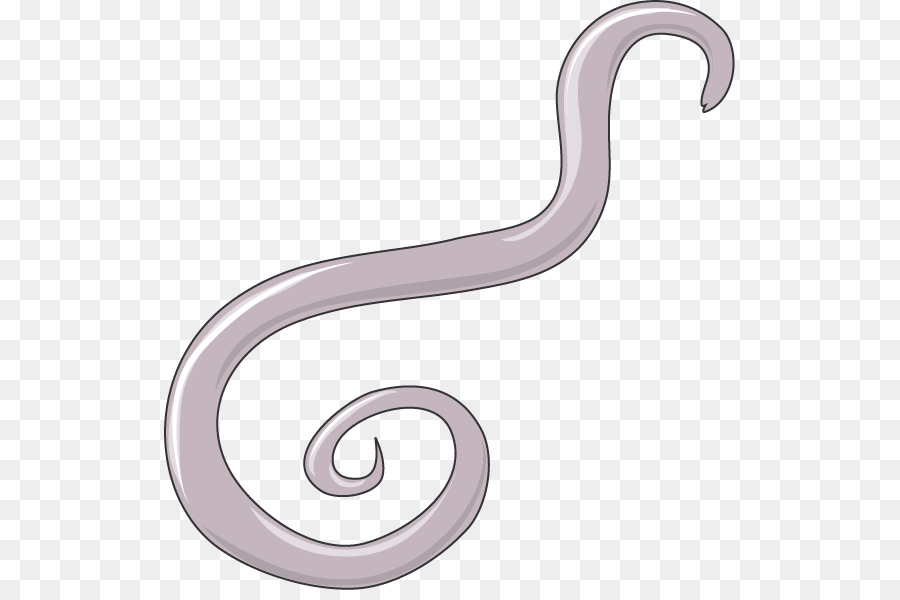 ย กษ Roundworm หนอน Ascaris พวกเขา Png Png ย กษ Roundworm หนอน Ascaris พวกเขา Icon Vector