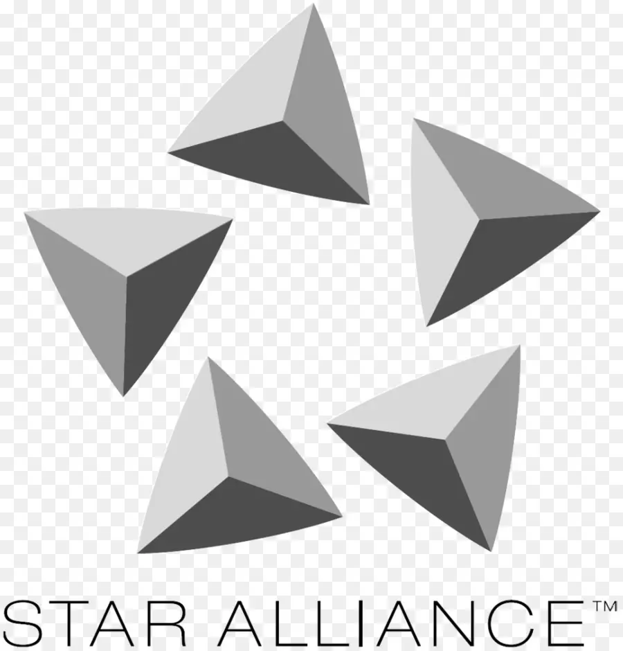 โลโก้ Star Alliance，สายการบิน PNG