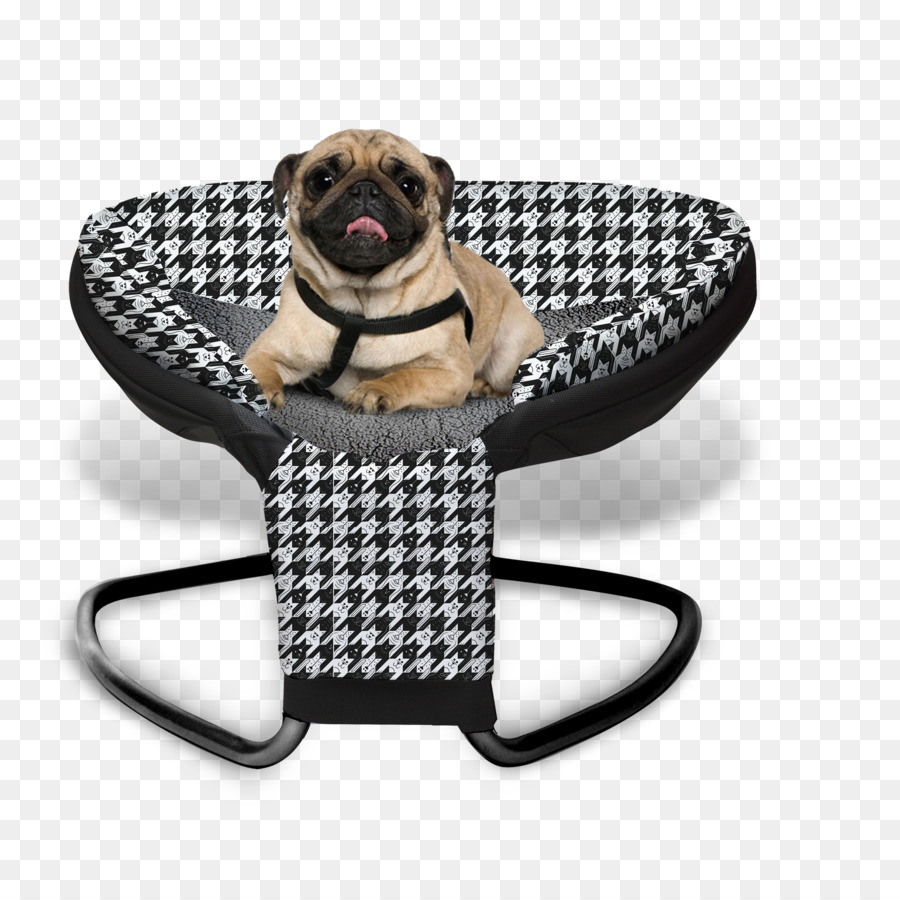 Pug，สุนัขพันธุ์ PNG