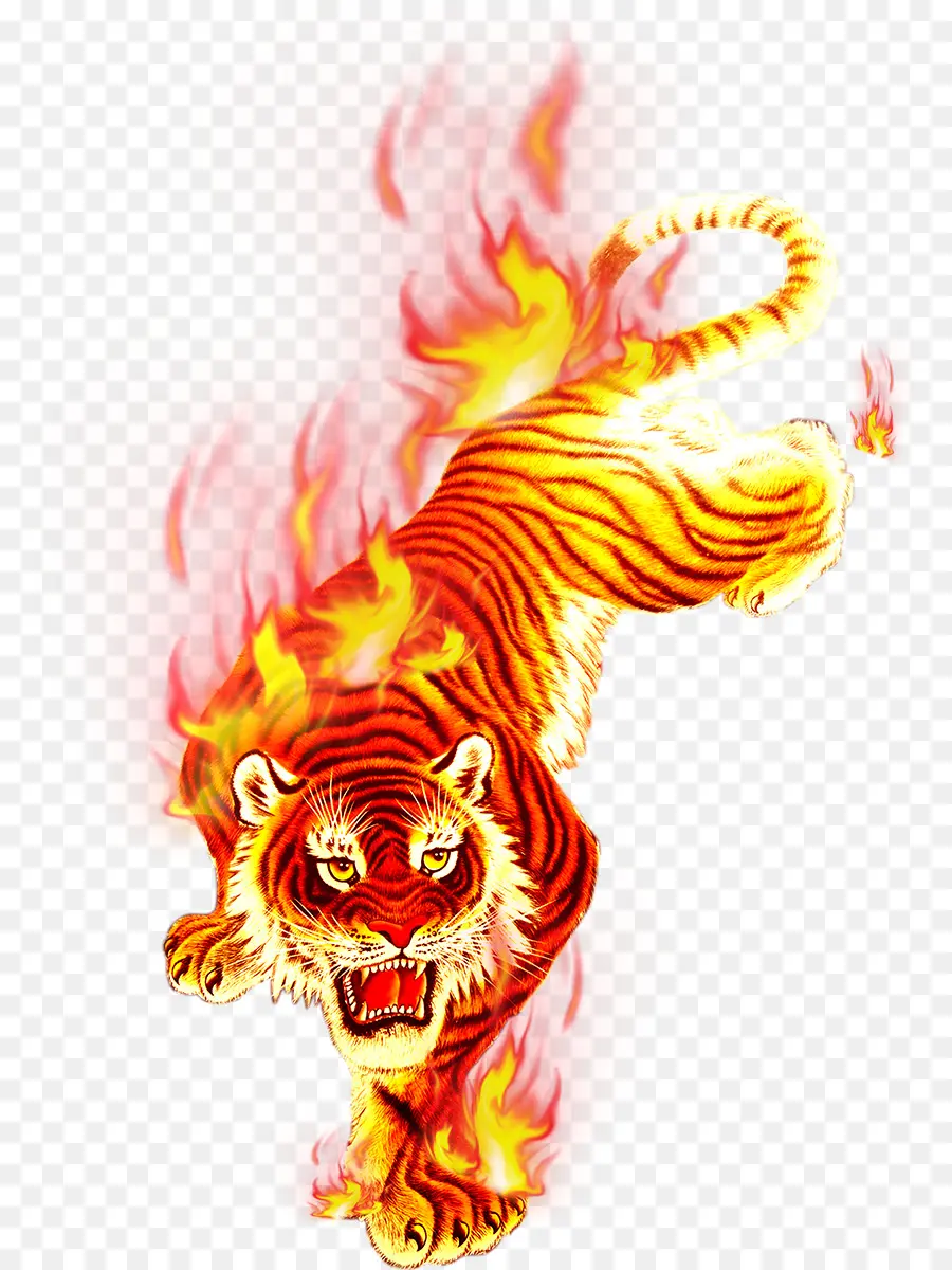 Tiger On Fire，เปลวไฟ PNG