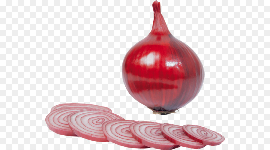 หัวหอมแดง，Allium PNG